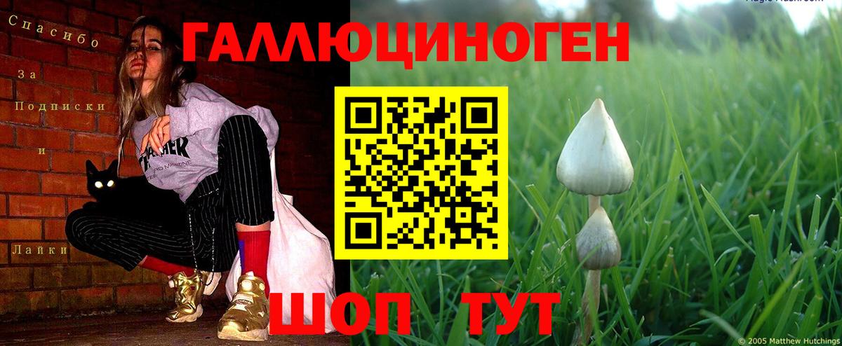 Псилоцибиновые грибы мицелий Ульяновск