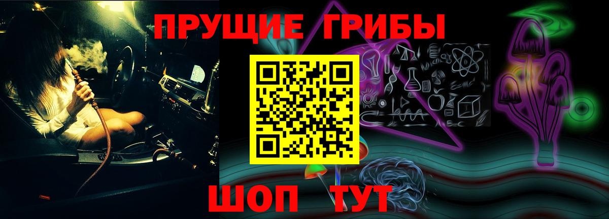 Ульяновск  Псилоцибиновые грибы Cubensis  Вход с VPN 